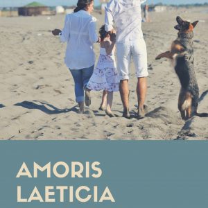 Téléchargez Amoris Laeticia (La Joie de l'Amour) en format électronique